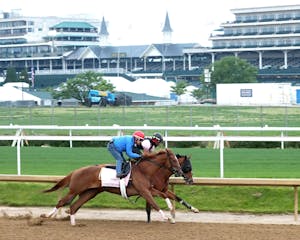 Anna's Promise at Churchill Downs (Photo by Coady Media/Renee Torbit)