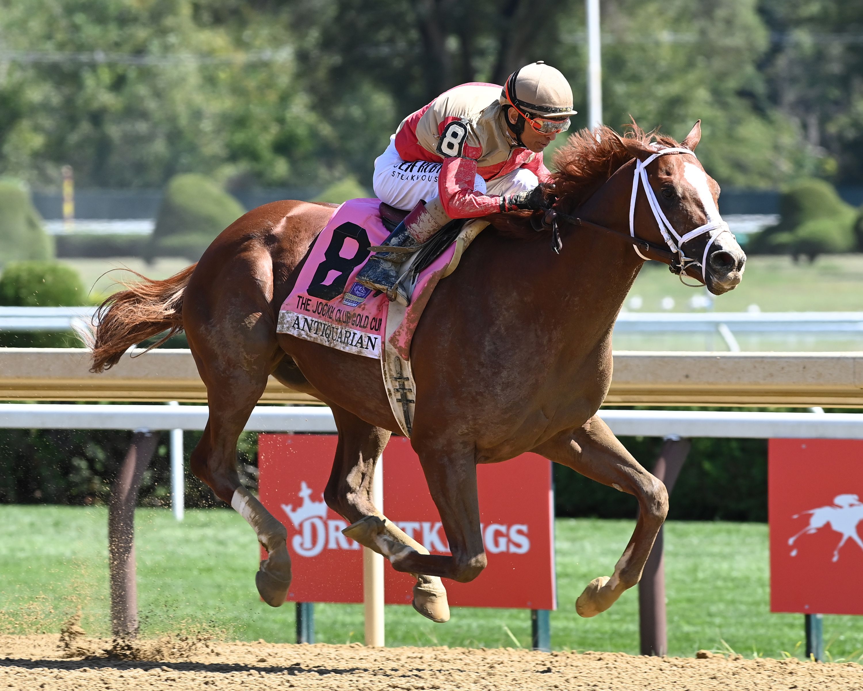 Antiquarian wins a spill-marred Jockey Club Gold Cup