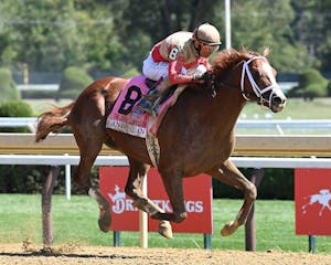 Antiquarian wins a spill-marred Jockey Club Gold Cup