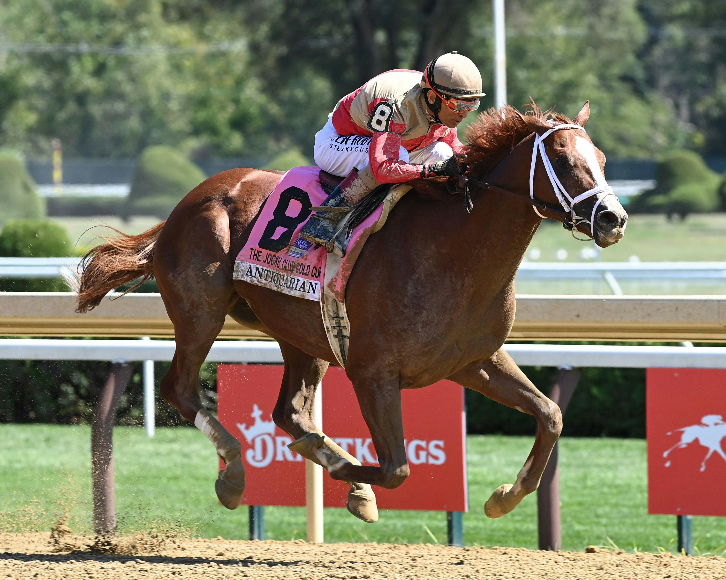 Antiquarian wins a spill-marred Jockey Club Gold Cup