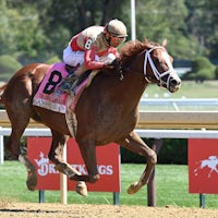 Antiquarian wins a spill-marred Jockey Club Gold Cup