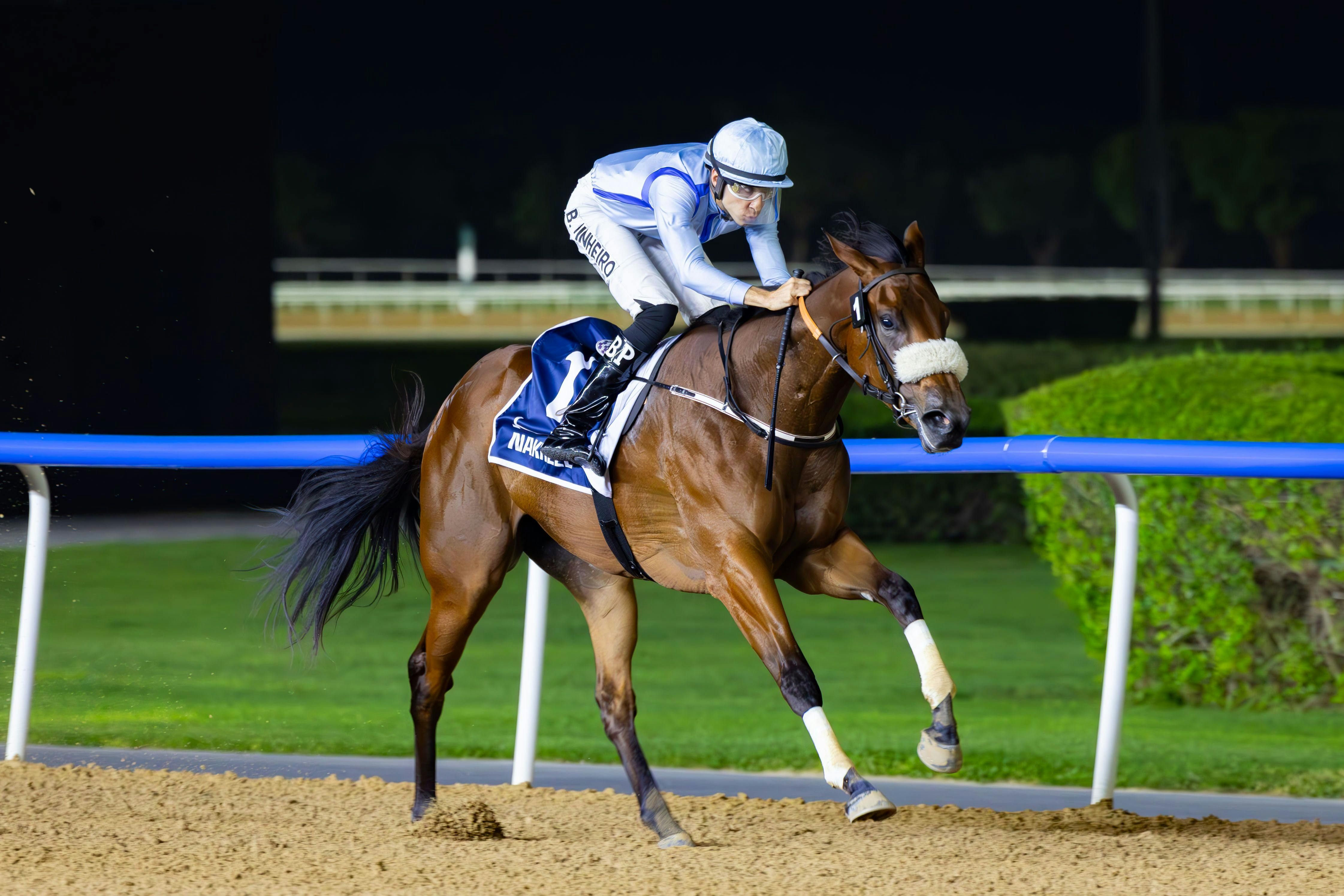 The filly Arigatou Gozaimasu romped in her career debut at Meydan (Photo by Dubai Racing Club)