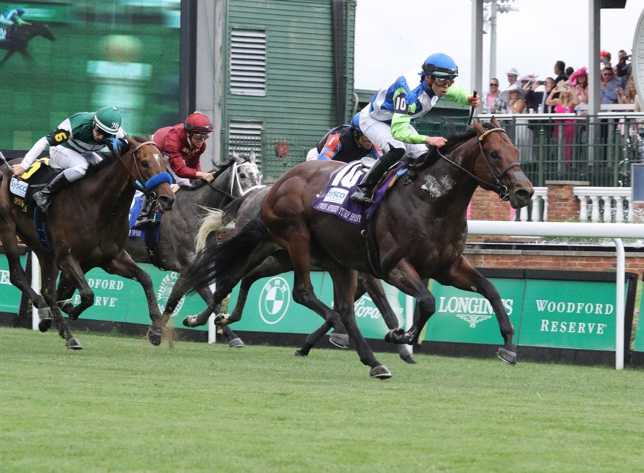 How to bet the Forego Stakes TwinSpires