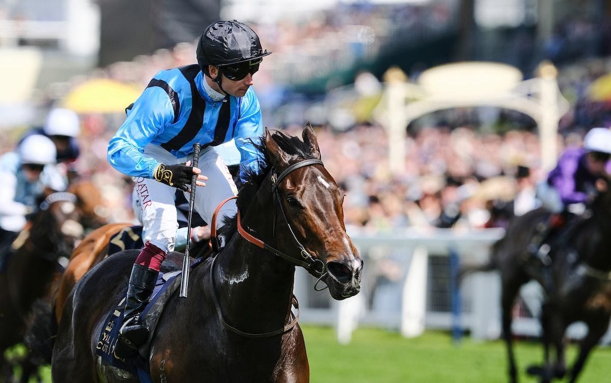 Asfoora wins the 2024 King Charles III