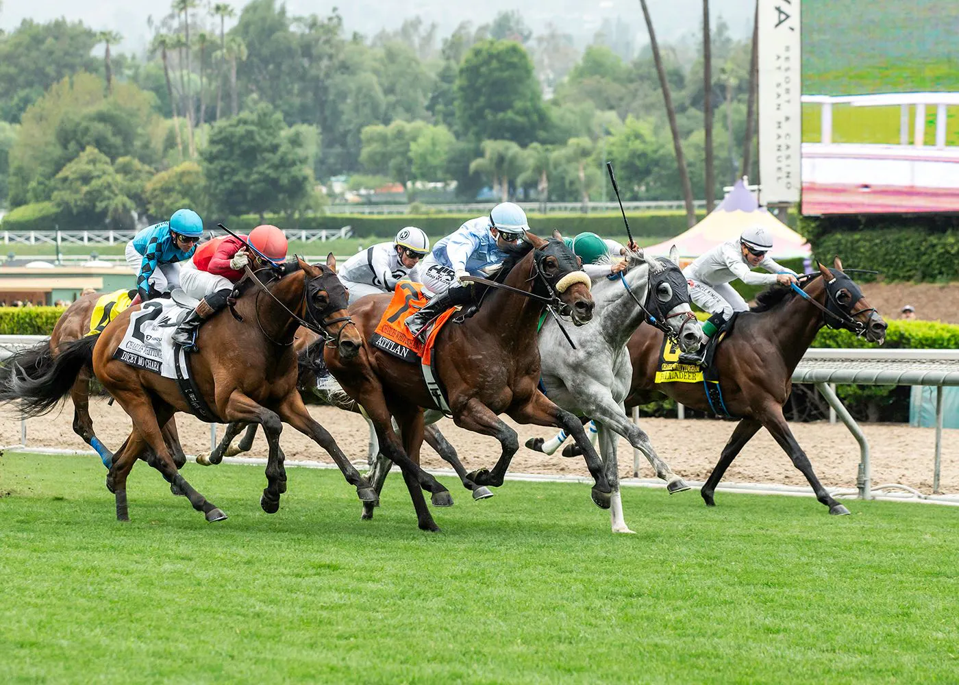 Atilian wins the Charles Whittingham (G2) at Santa Anita.