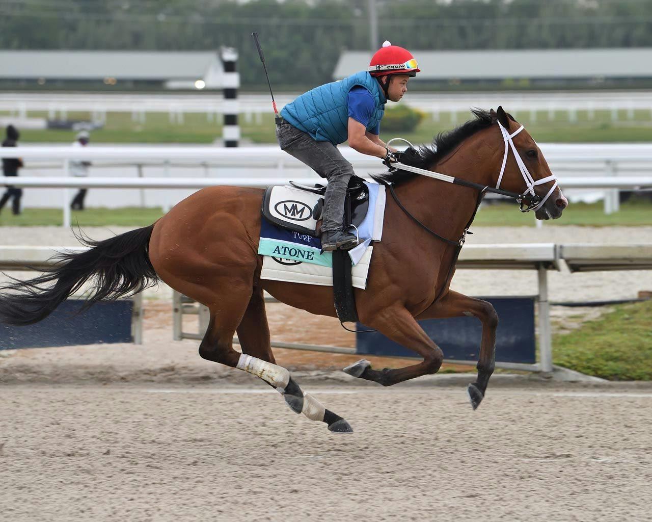 Dinner Party Stakes Exotics Plays TwinSpires