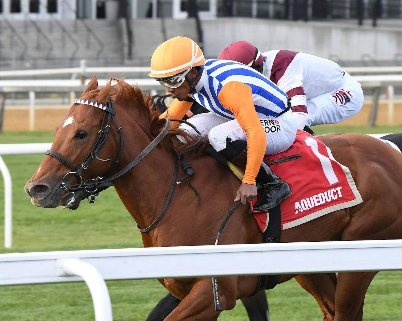 Attfield wins the Central Park Stakes at Aqueduct.
