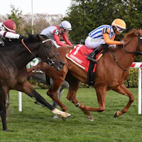Attfield wins the Central Park Stakes at Aqueduct.
