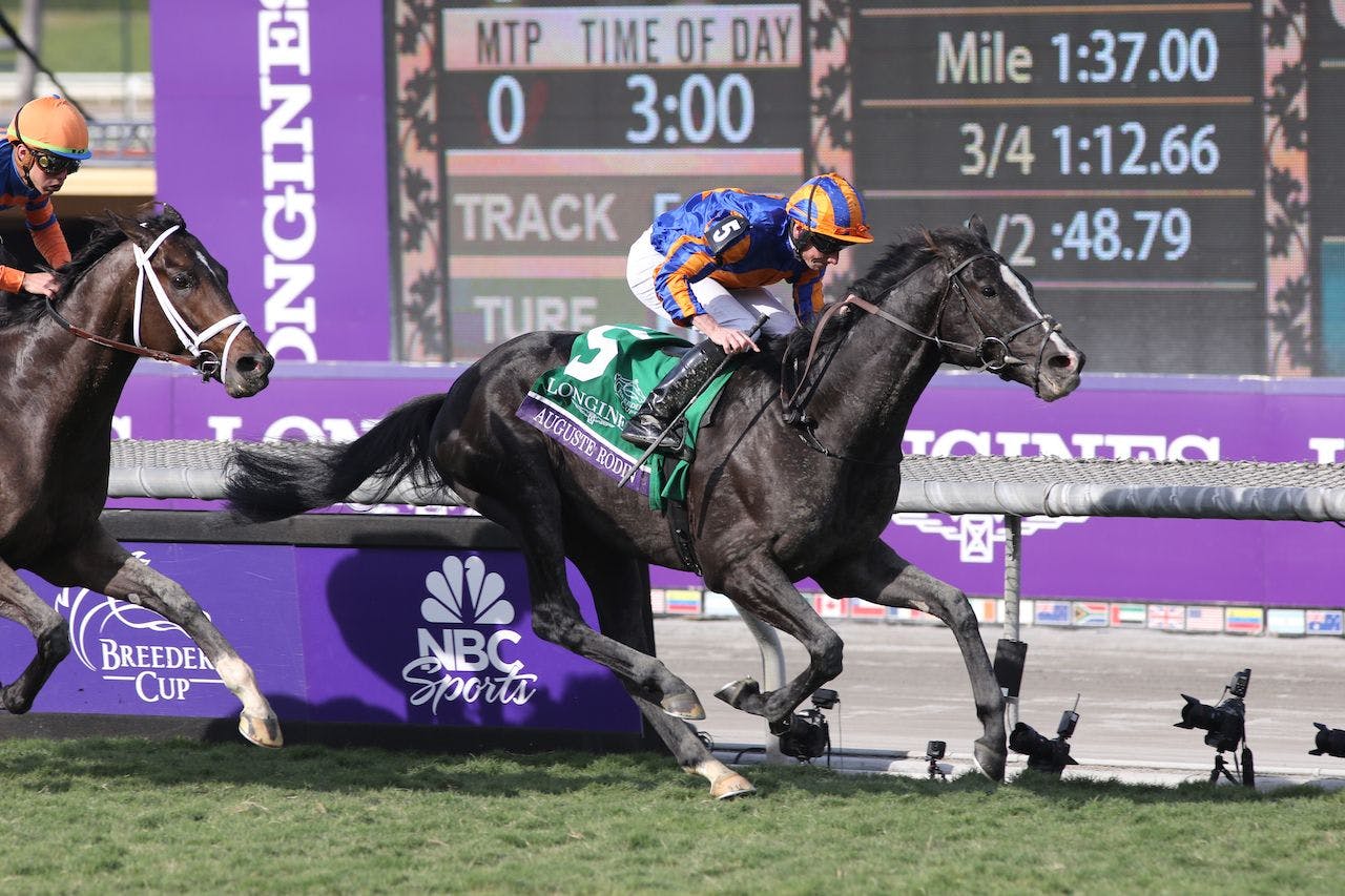 Auguste Rodin winning the Breeders' Cup Turf (G1) at Santa Anita (Photo by Horsephotos.com)
