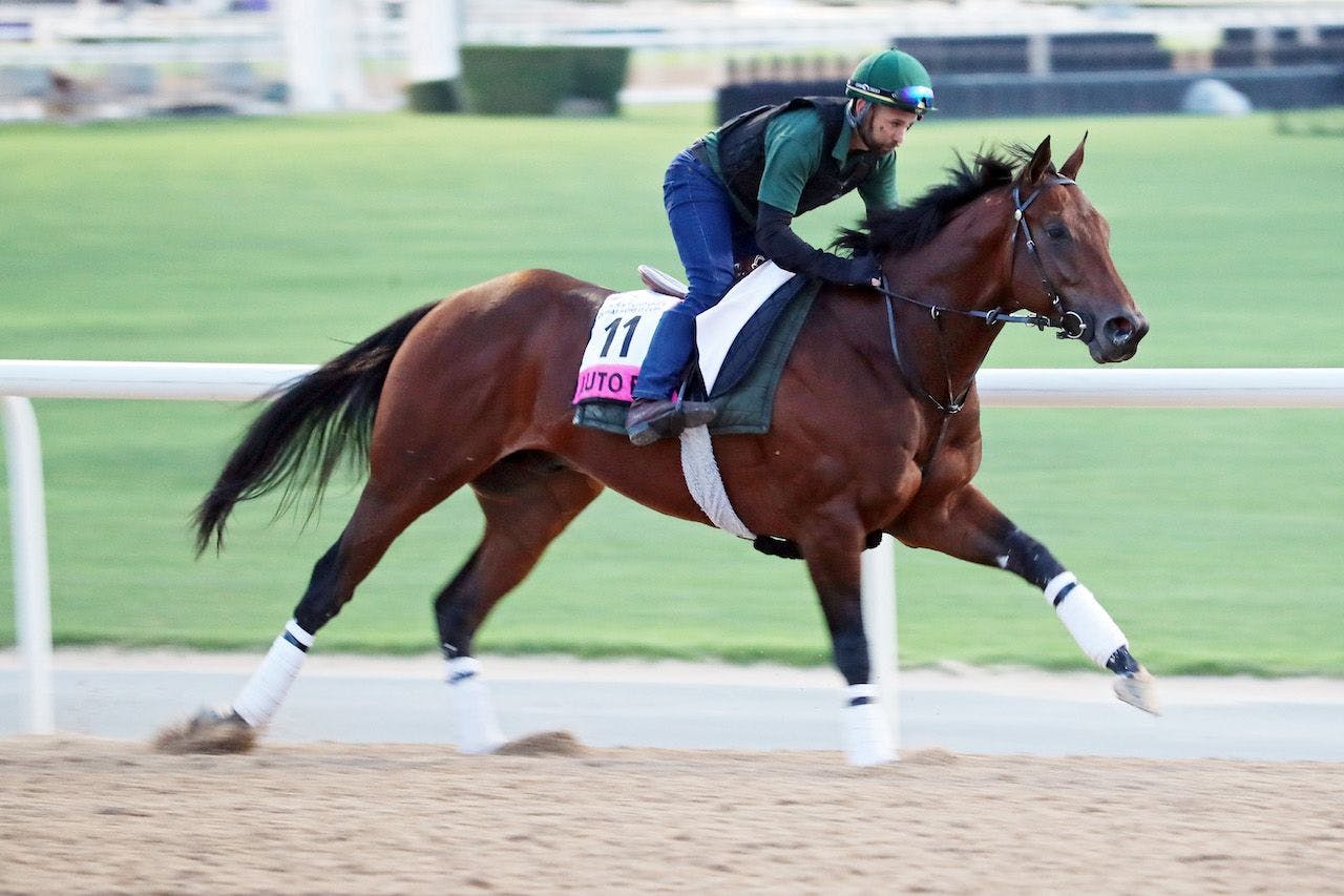 AutoBahn wins at Meydan. 