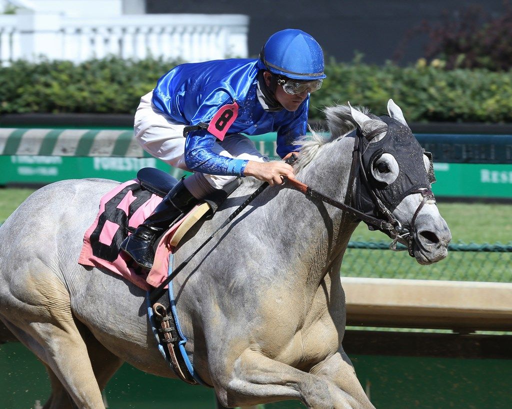 Under-the-radar Kentucky Derby Contenders, Volume 21 | TwinSpires