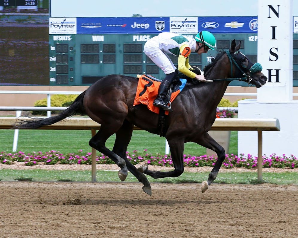 Meet the Contenders 2024 Jeff Ruby Stakes TwinSpires