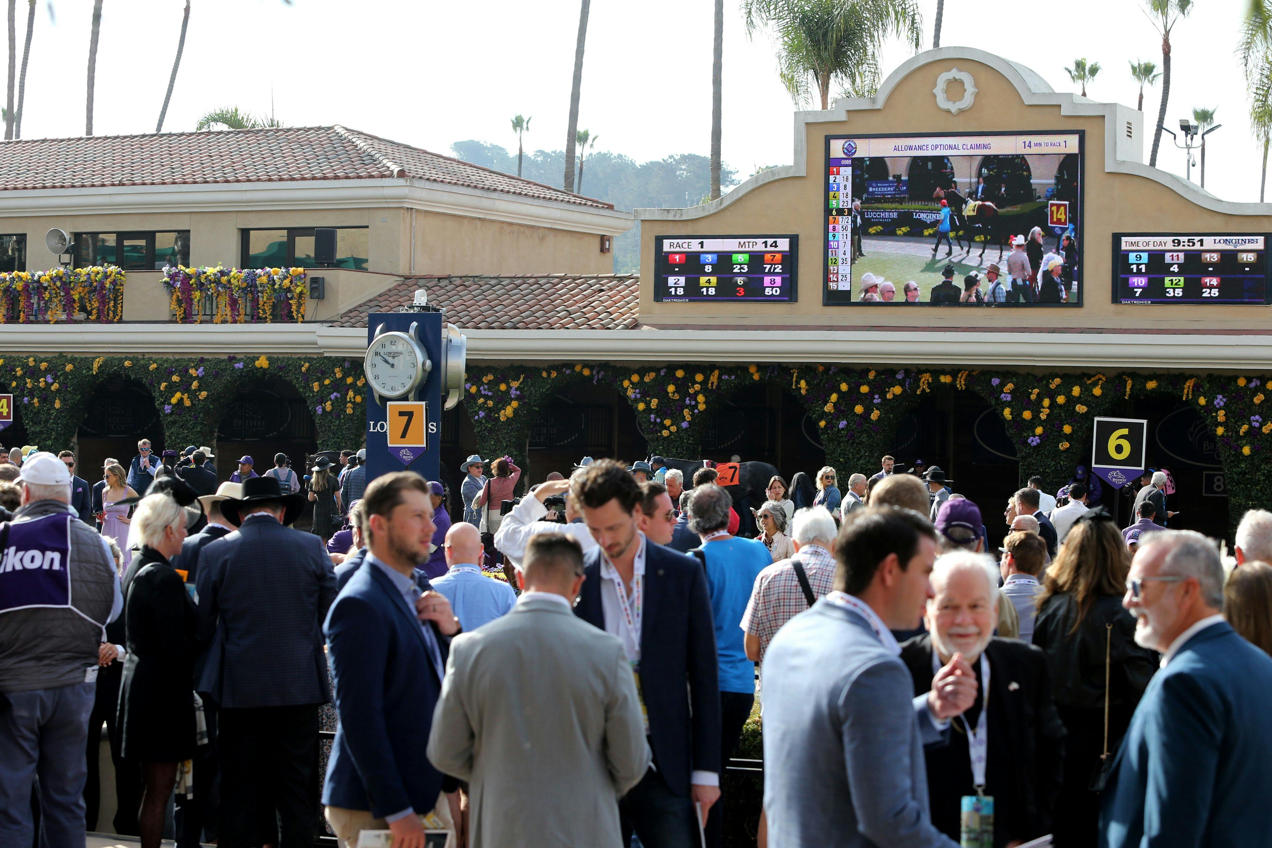 2024 Breeders’ Cup odds, predictions, contenders, horses TwinSpires