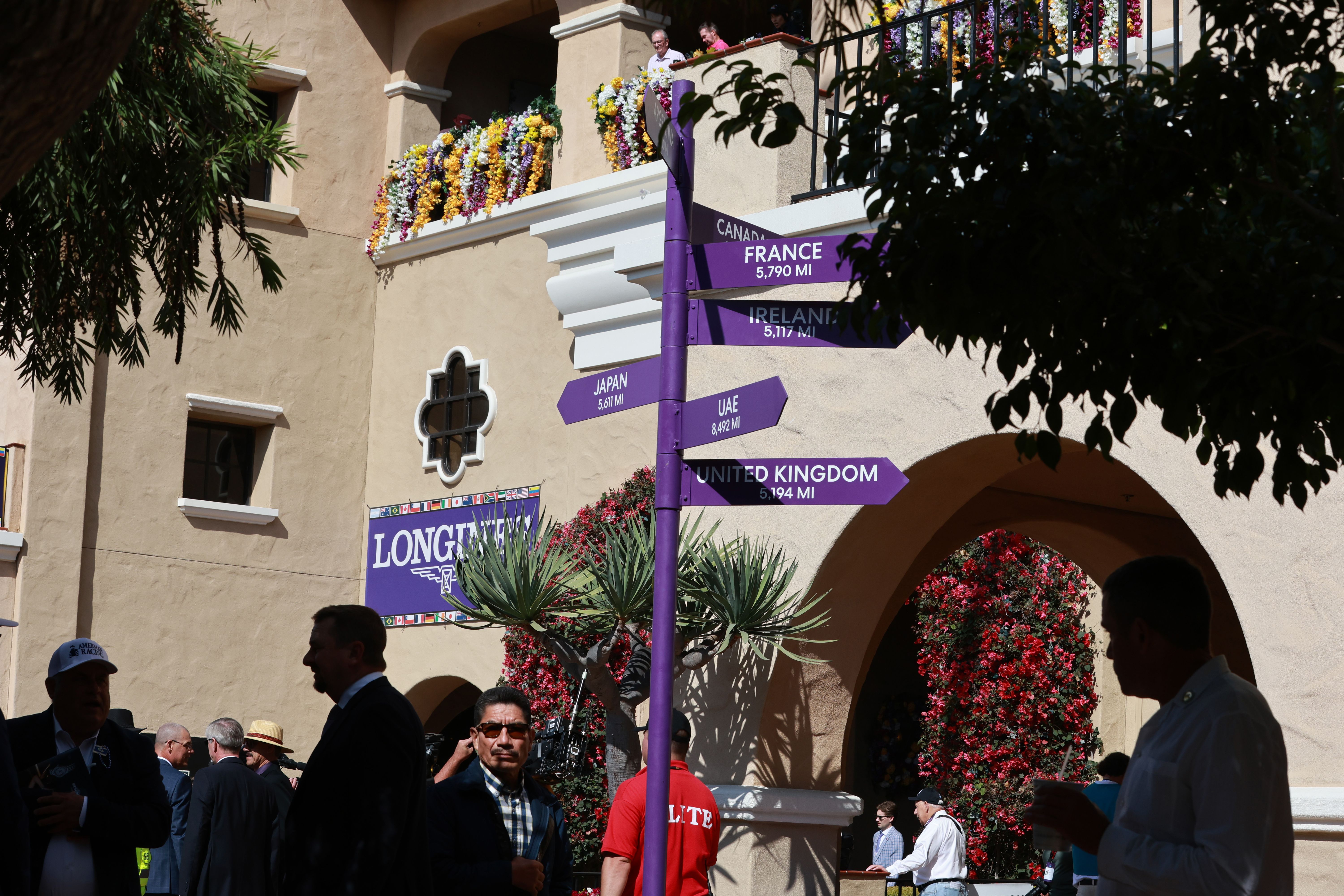 Breeders' Cup 2025 at Del Mar (Photo by Horsephotos.com)