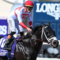 Bentornato winning the Breeders' Cup Sprint (G1) at Del Mar