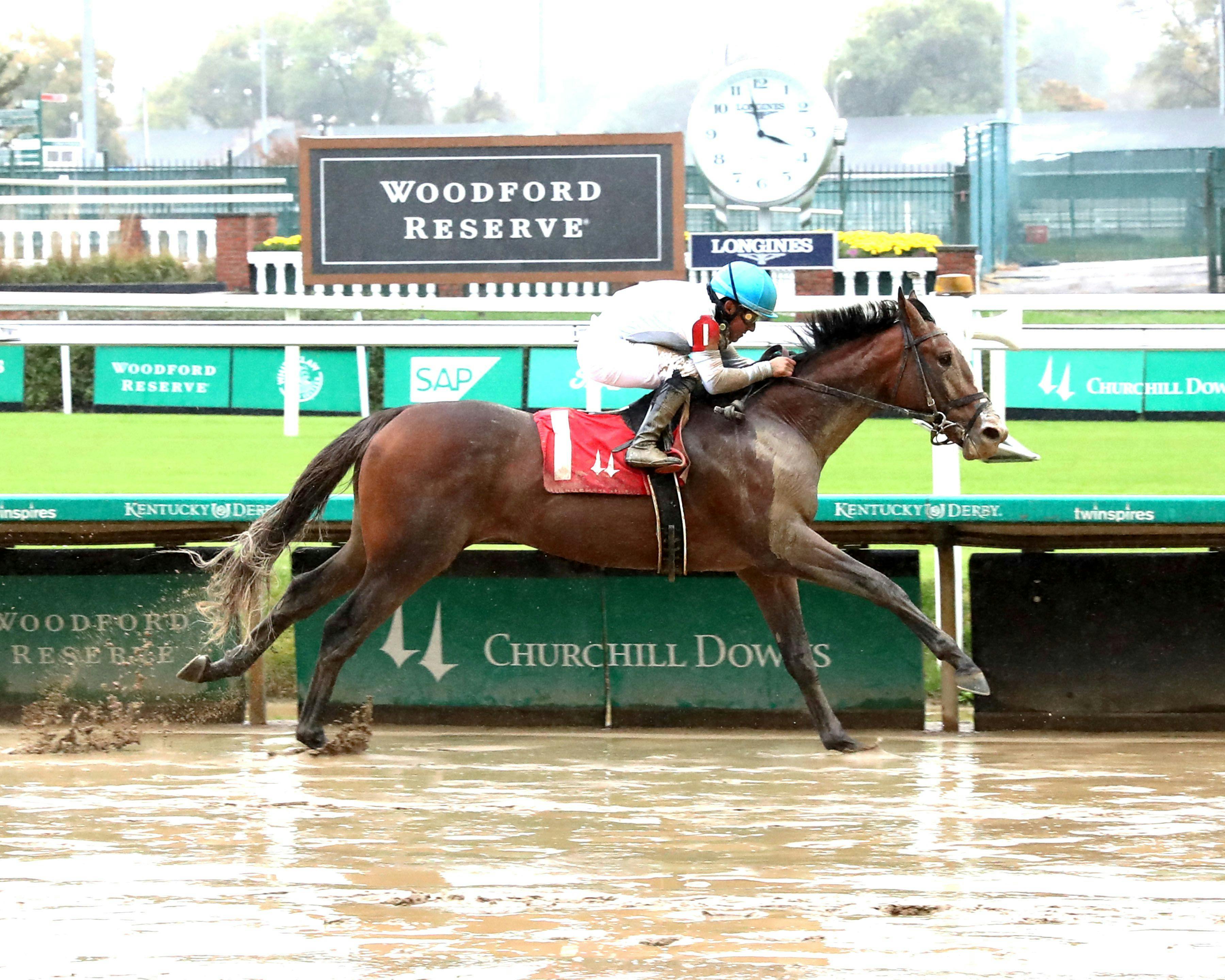 Big Apple Patrick wins at Churchill Downs. 