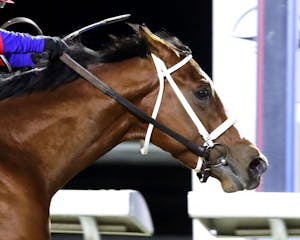 Baby Max wins the Leonatus Stakes at Turfway Park. 