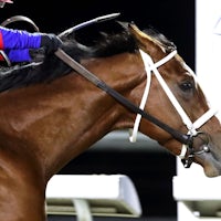 Baby Max wins the Leonatus Stakes at Turfway Park.