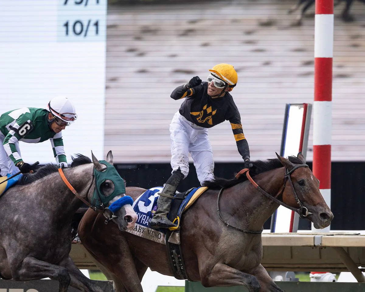 Baby Vino wins the Haskell Stakes at Monmouth Stakes.