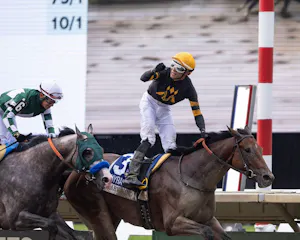 Baby Vino wins the Haskell Stakes at Monmouth Stakes.