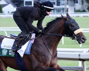 Baeza trains for the Belmont