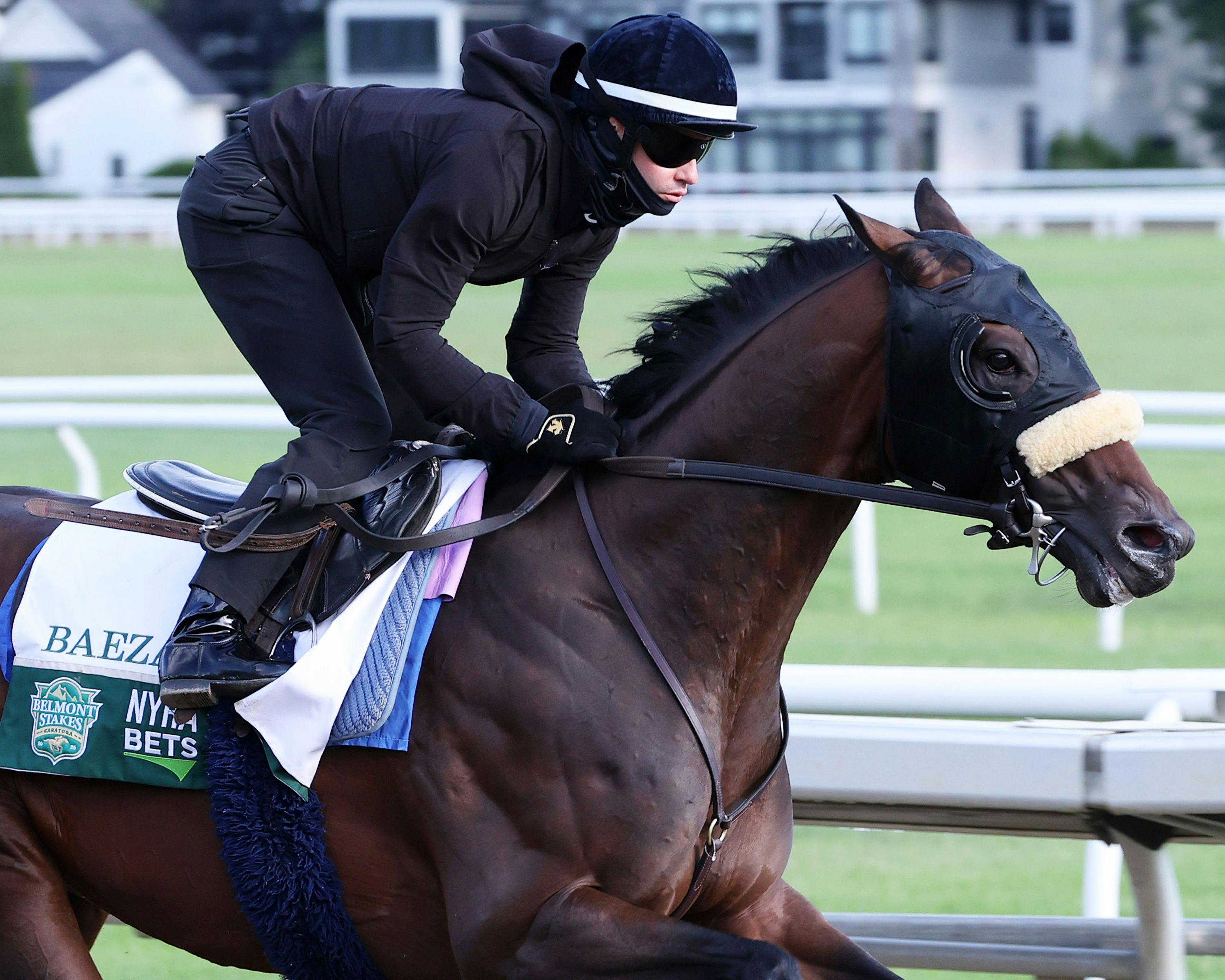 Baeza trains for the Belmont