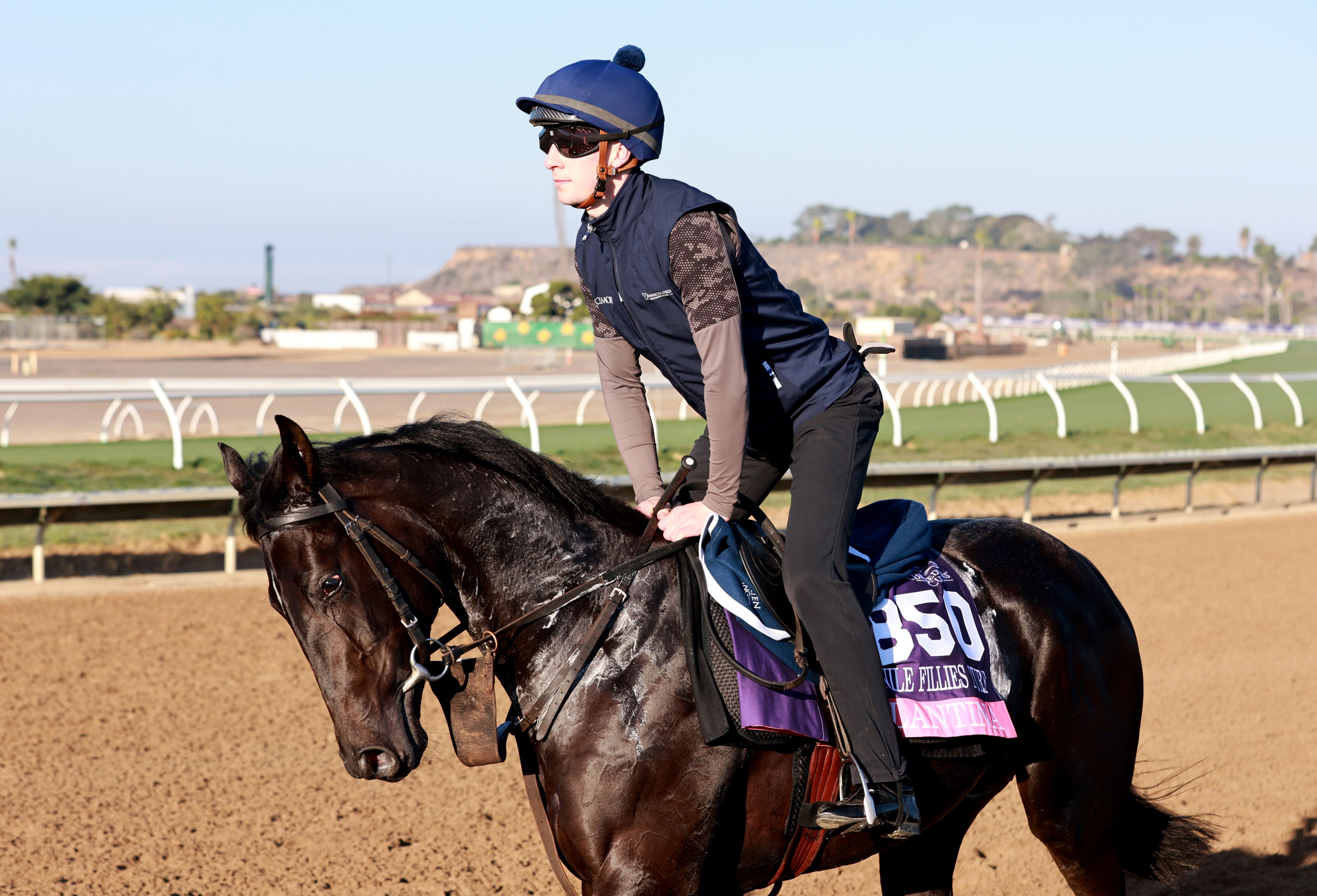 Balantina trains for the Breeders' Cup at Del Mar 2025 (Photo by Horsephotos.com)