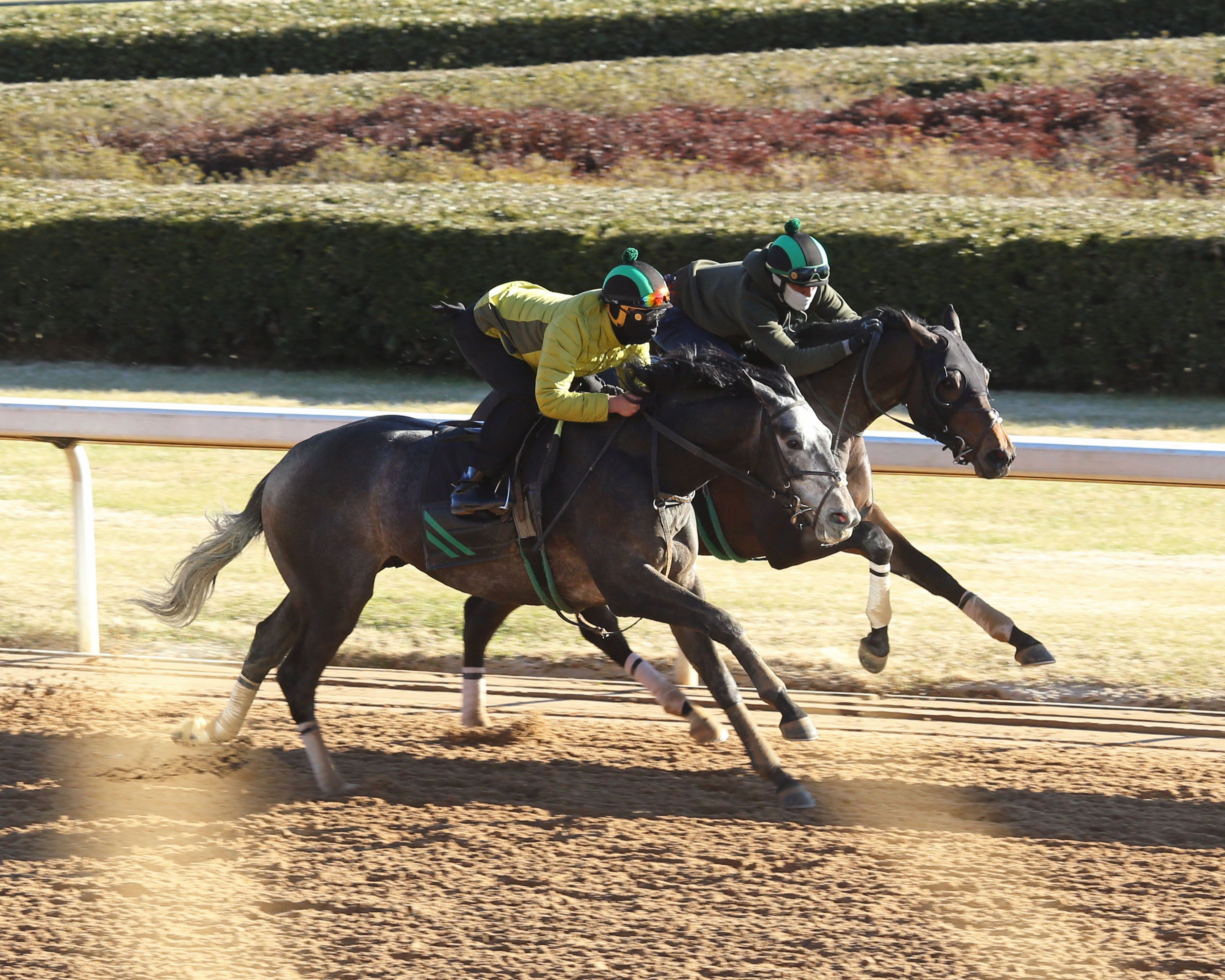 Kentucky Derby Pedigree Profile: Barber Road | TwinSpires