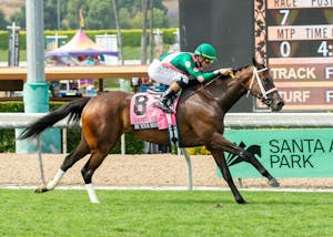 Be Your Best put on an exhibition of speed in the Gamely