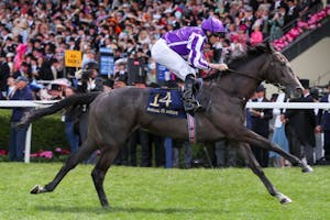 Bedtime Story shown romping in the 2024 Chesham at Royal Ascot