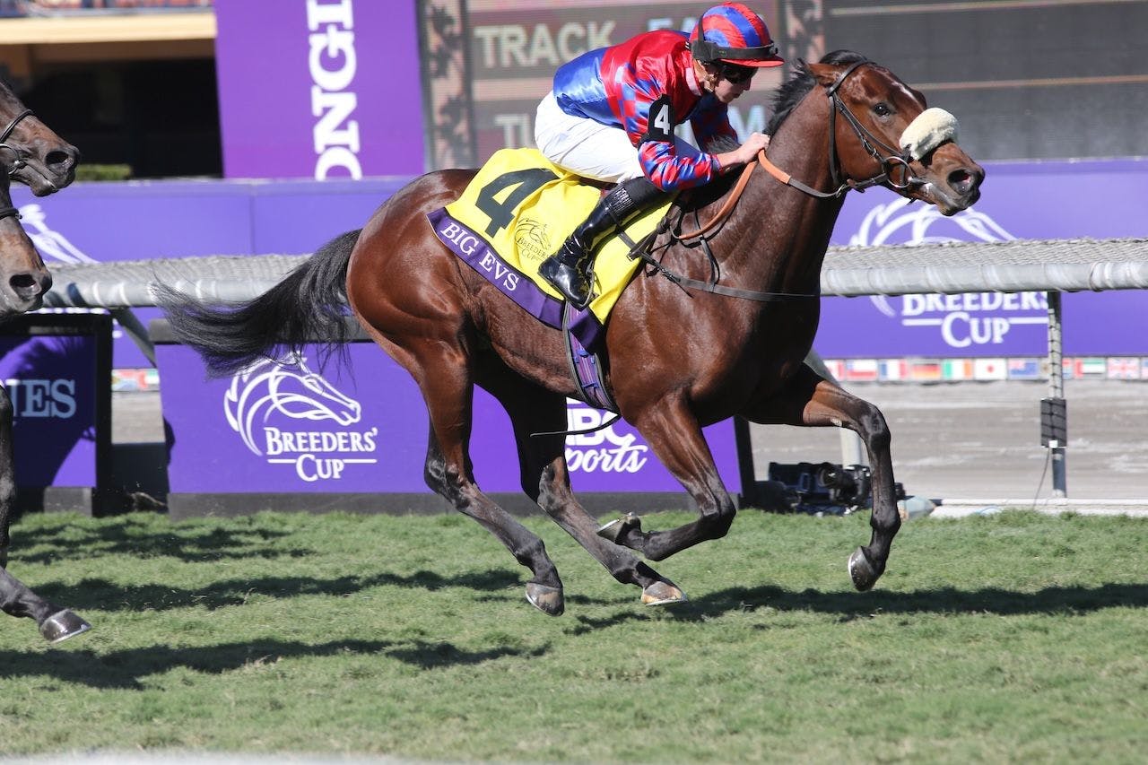 Big Evs works out prior to the Breeders' Cup at Del Mar. 