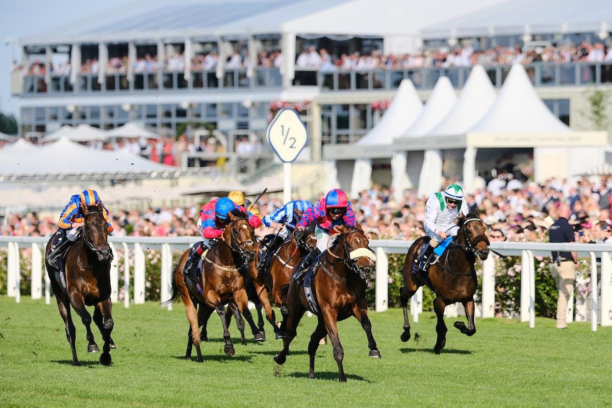 Big Evs wins the Windsor Castle
