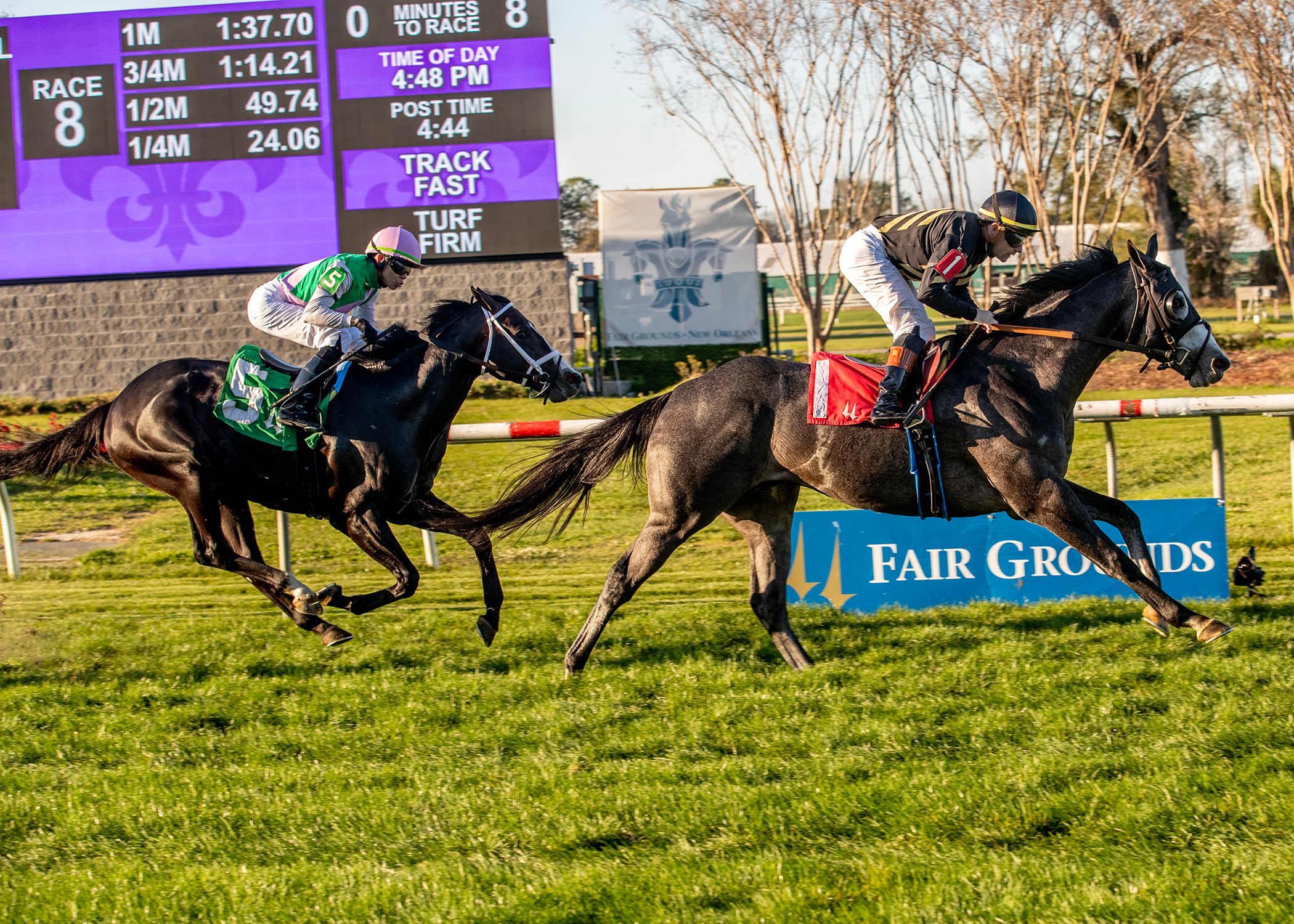 Black Hornet wins the Black Gold at Fair Grounds. 