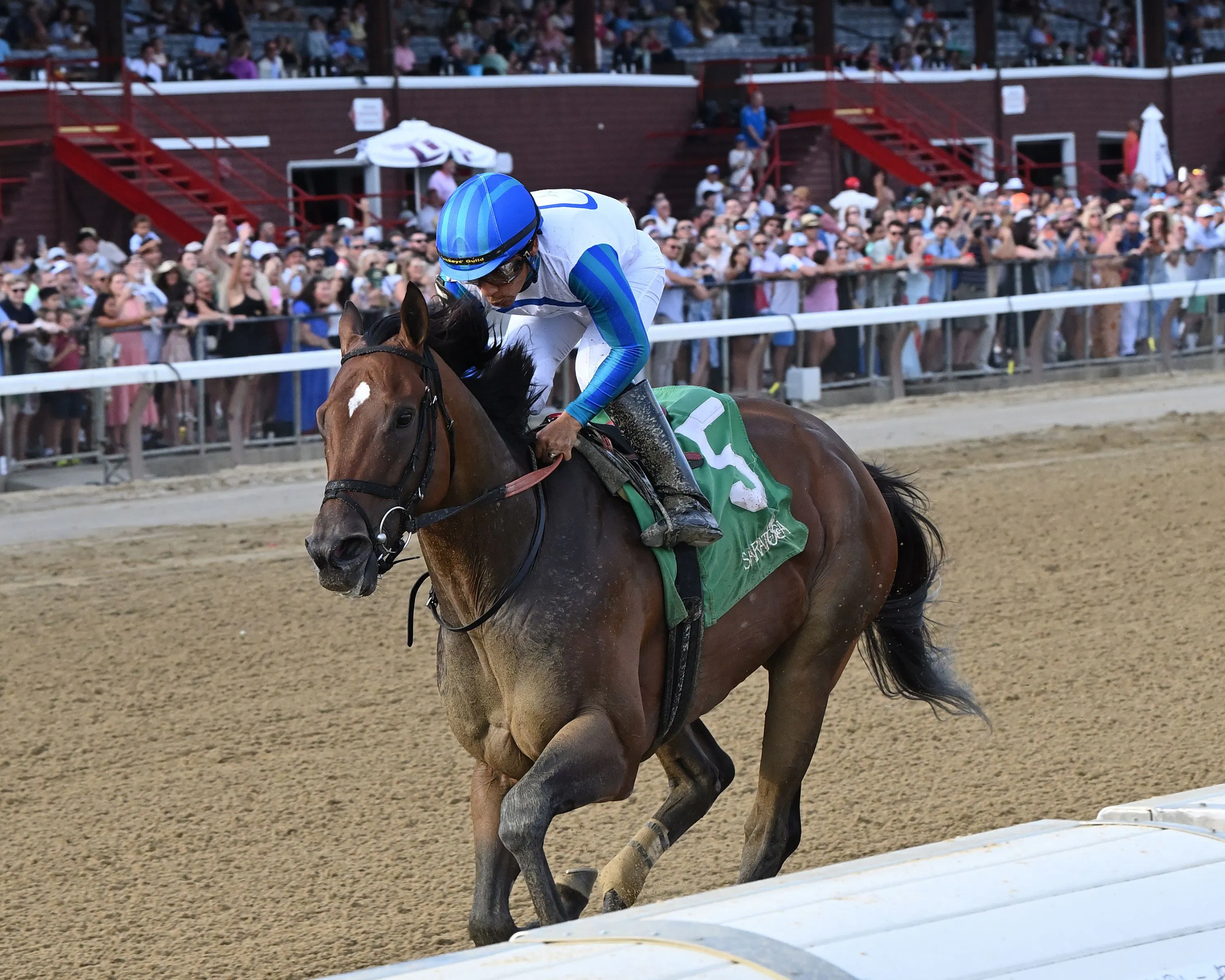 Book'em Danno wins the Vanderbilt at Saratoga.