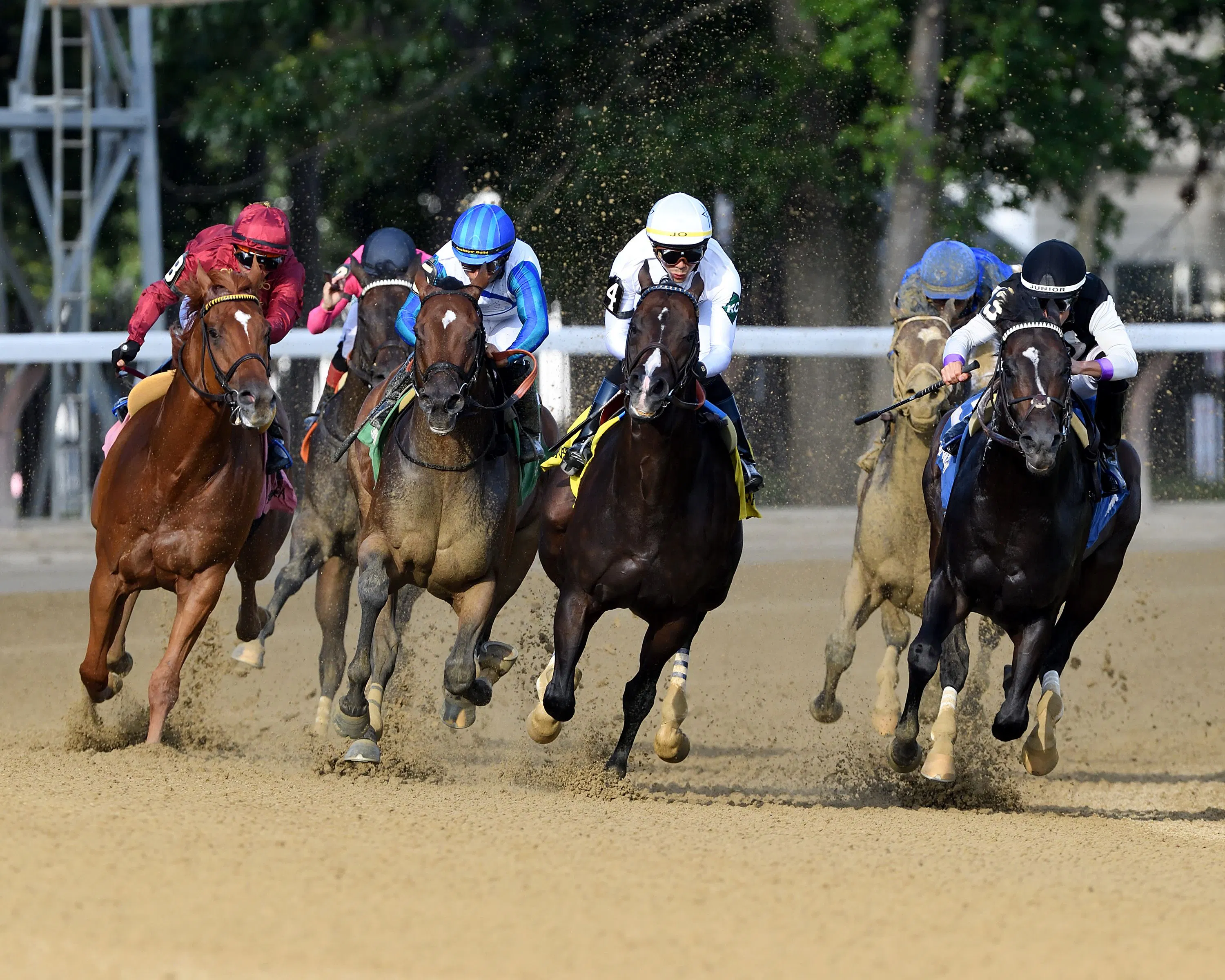 Book'em Danno wins the Vanderbilt at Saratoga.
