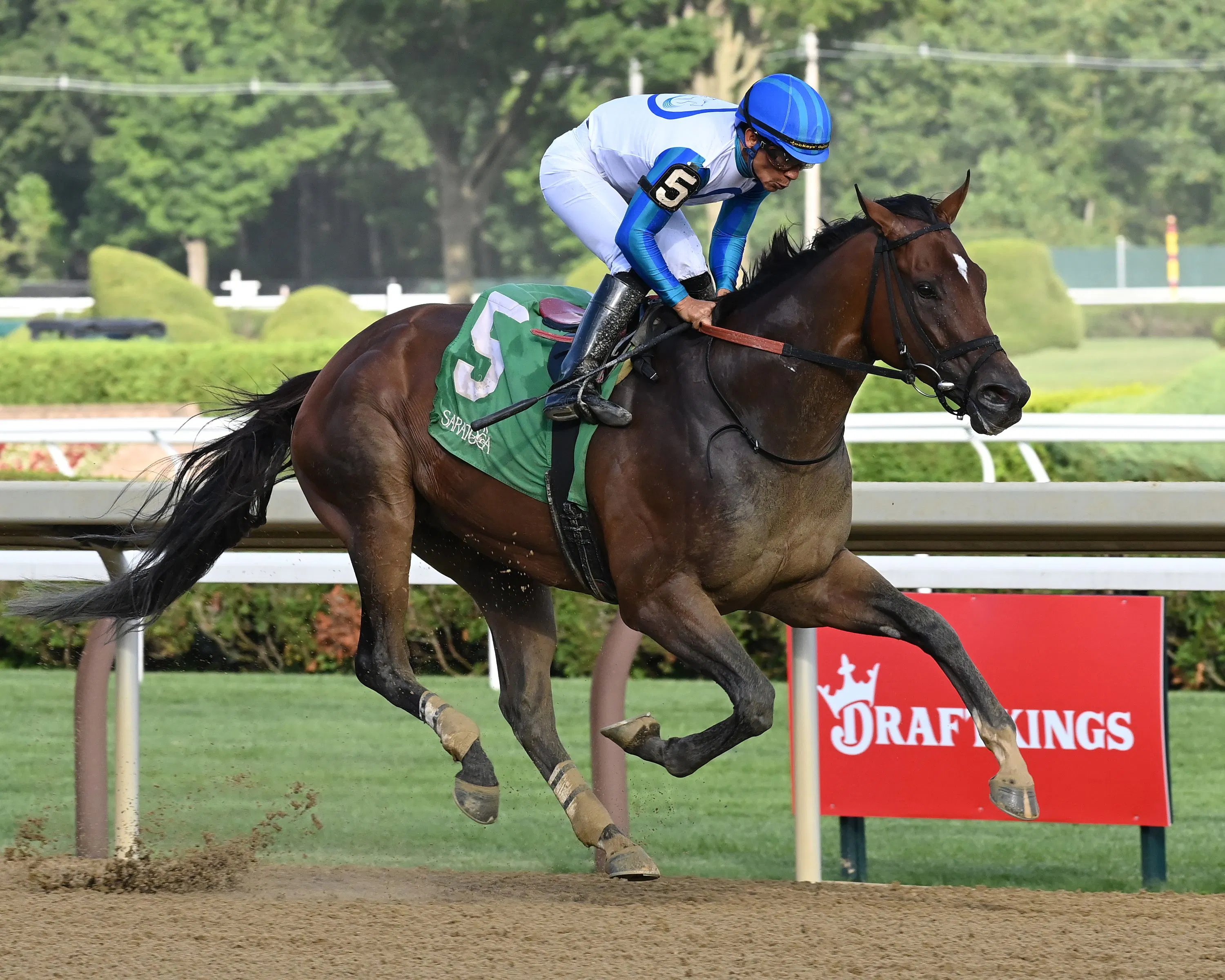 Book'em Danno wins the Vanderbilt at Saratoga.