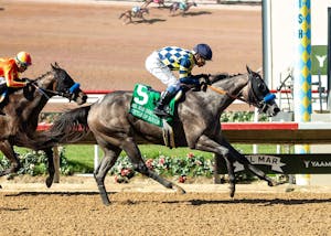 Bottle of Rouge upset stablemate Explora in the Del Mar Debutante (G1)
