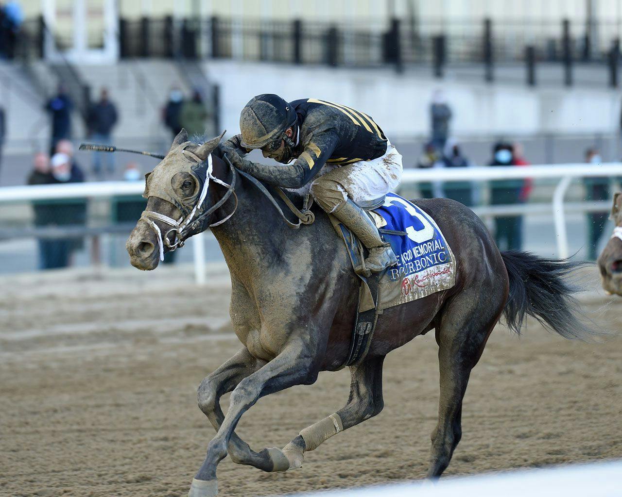 Exotics plays for the 2023 Stymie Stakes at Aqueduct Feb. 25 TwinSpires