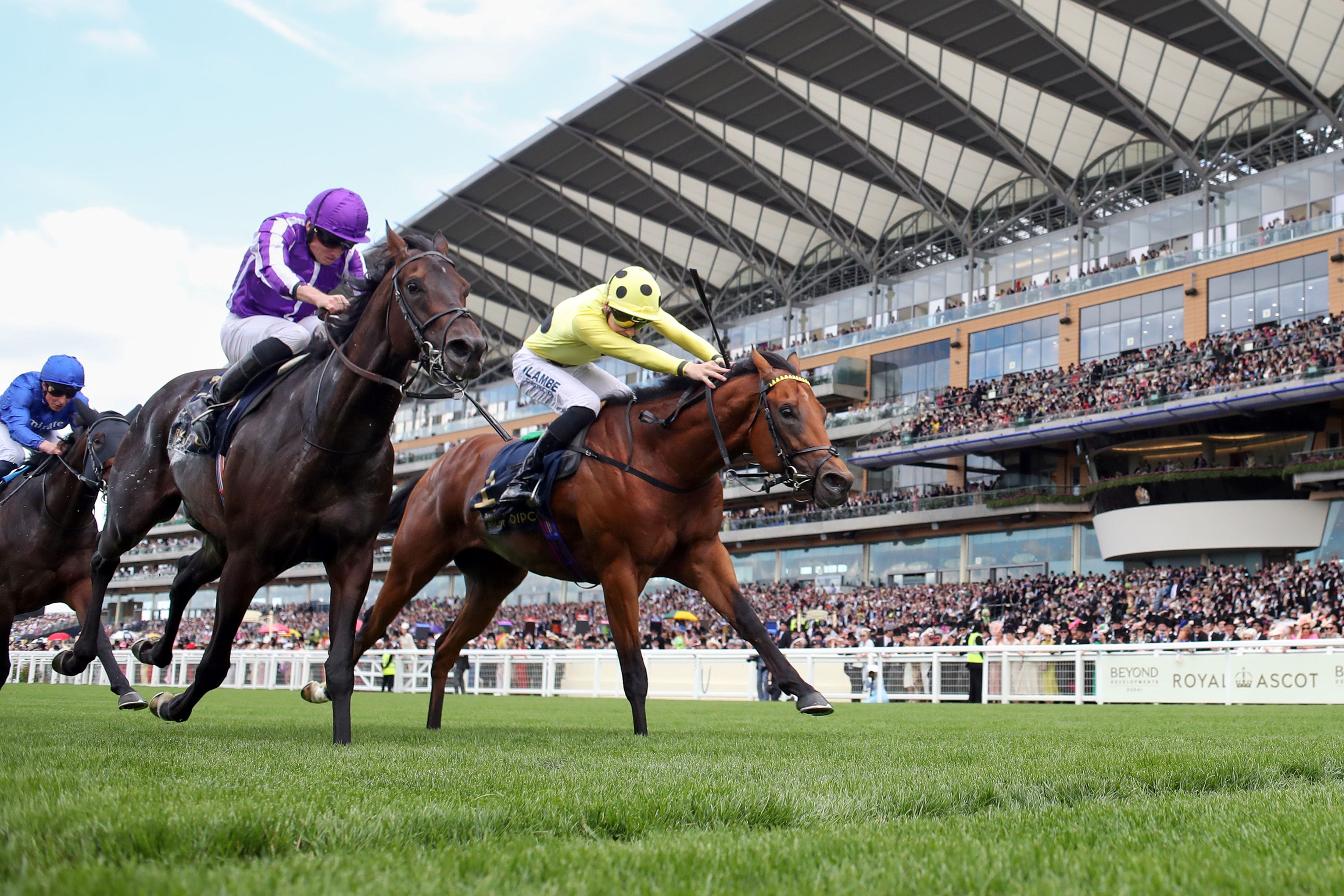 Bow Echo winning during Royal Ascot weekend.