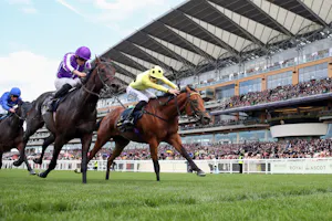 Bow Echo winning during Royal Ascot weekend.