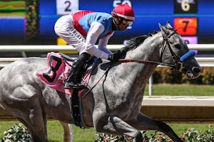 Brant, the $3 million OBS March juvenile, aired on debut at Del Mar