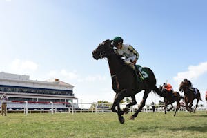 Breath Away (GB) wins the 2023 Sanibel Island S. 2023 (Photo by Coglianese Photos/Gulfstream Park))