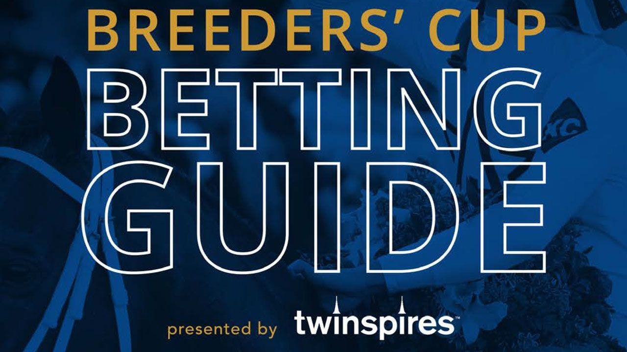 Breeders' Cup Betting Guide 2022 Contenders, Analysis, Expe TwinSpires