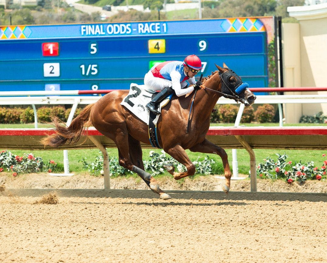 Buetane wins at Santa Anita.