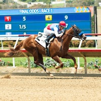 Buetane wins at Santa Anita.