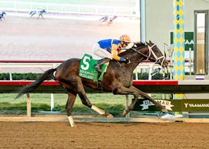 Bullard romps in the Bob Hope at Del Mar