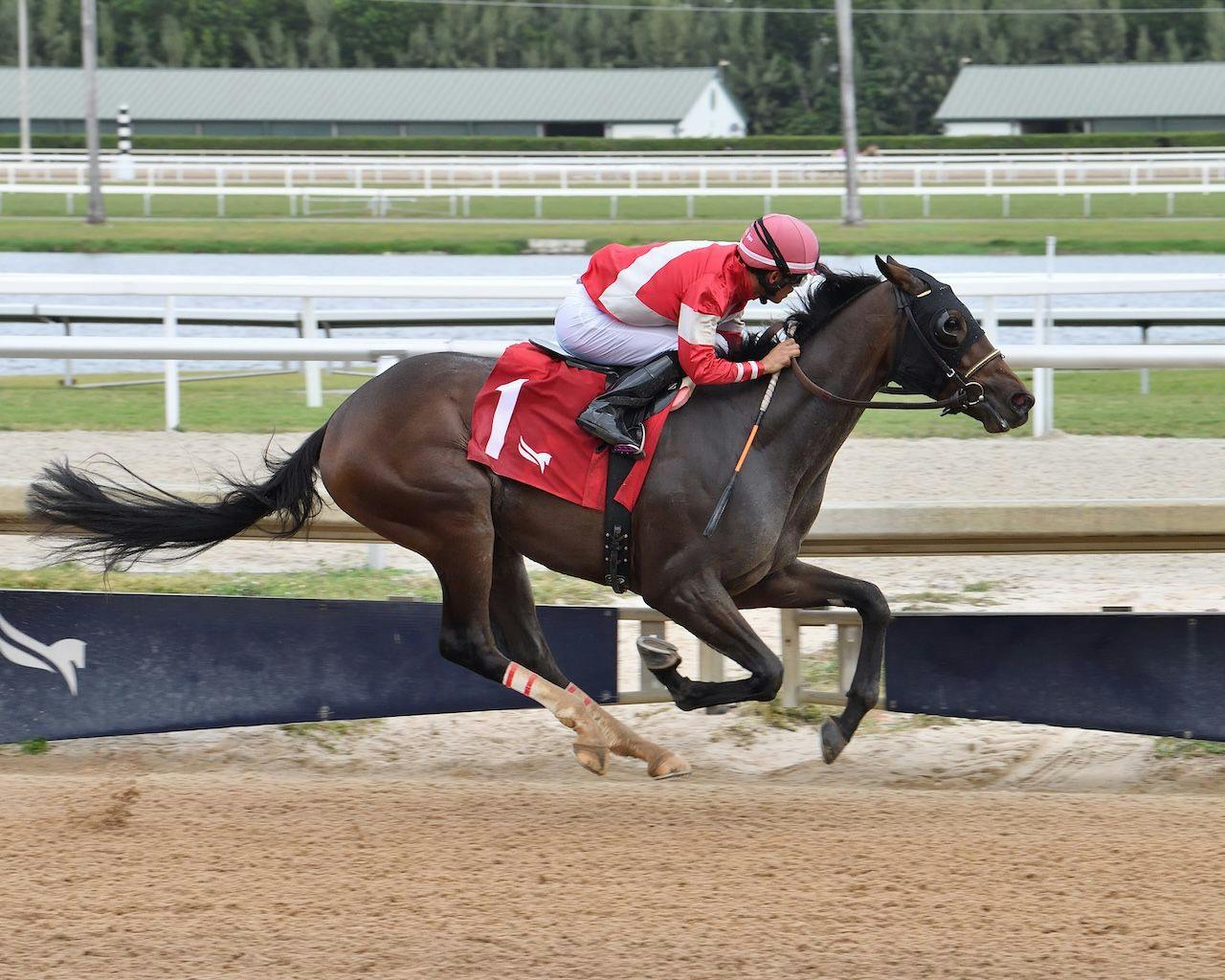 Burnham Square wins at GulfstreamPark. 