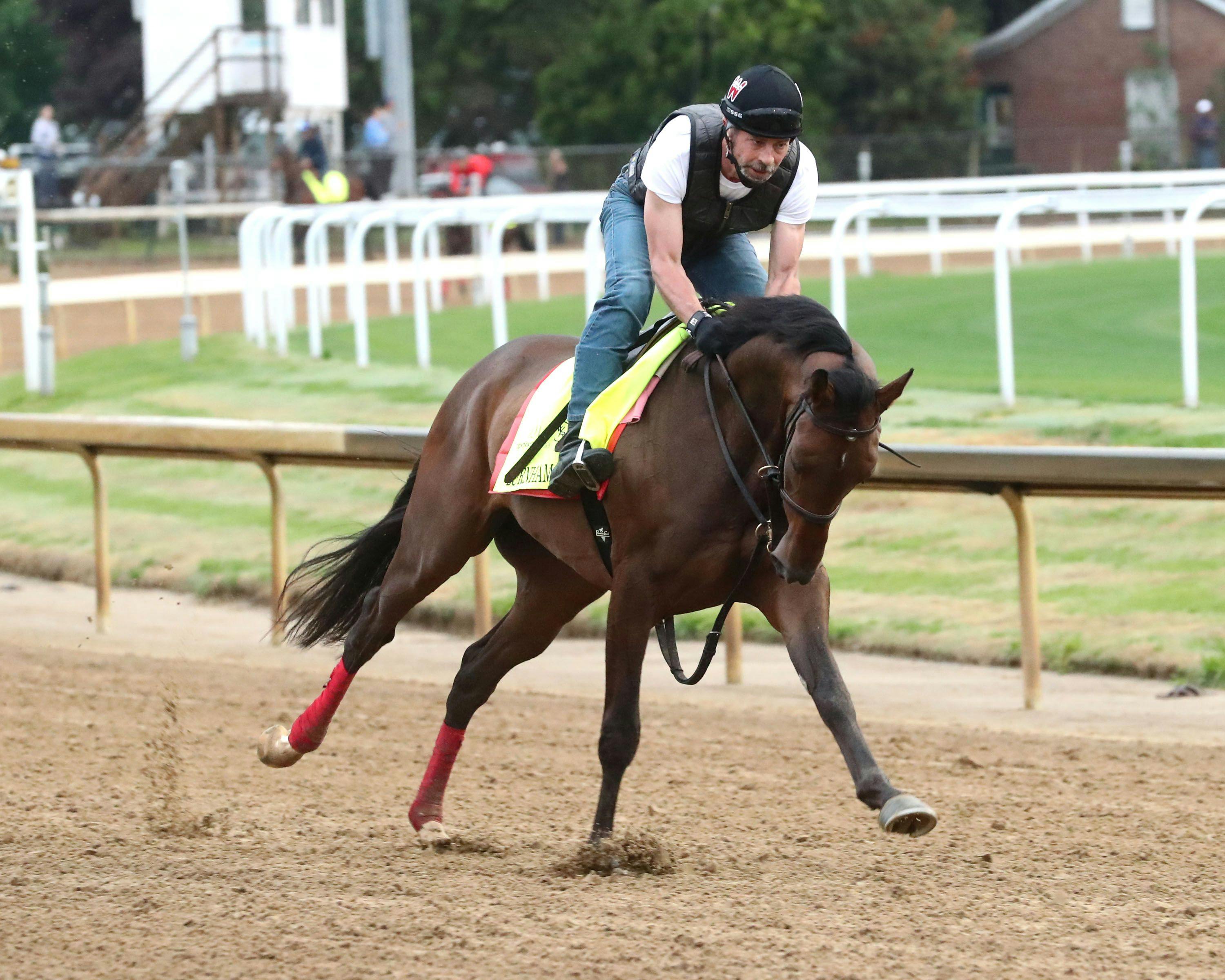 Burnham Square galloping at Churchill Downs