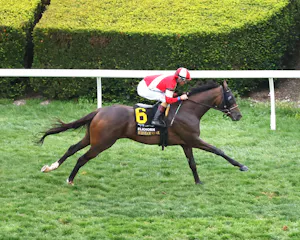 Burnham Square demolished the Elkhorn (G2) at Keeneland