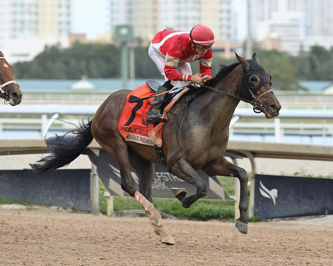 Burnham Square winning the Holy Bull (G3) at Gulfstream Park (Photo by Coglianese Photos/Lauren King)